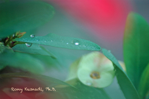 ronykusnadi_thingmakesensetkaestime_DSC_0182-1a_smsz