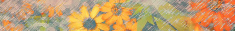 cropped-cropped-ronykusnadi_orangebeauty_banner_01c.jpg
