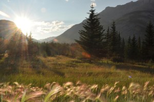ronykusnadi_TheDancingHeartOfNature_1_txt