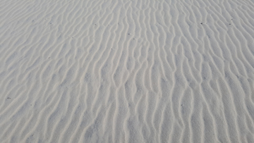 dancing sand dune