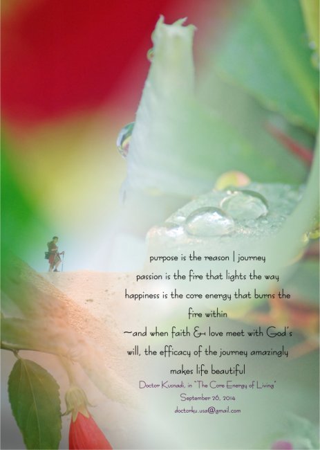 journey to the promised land