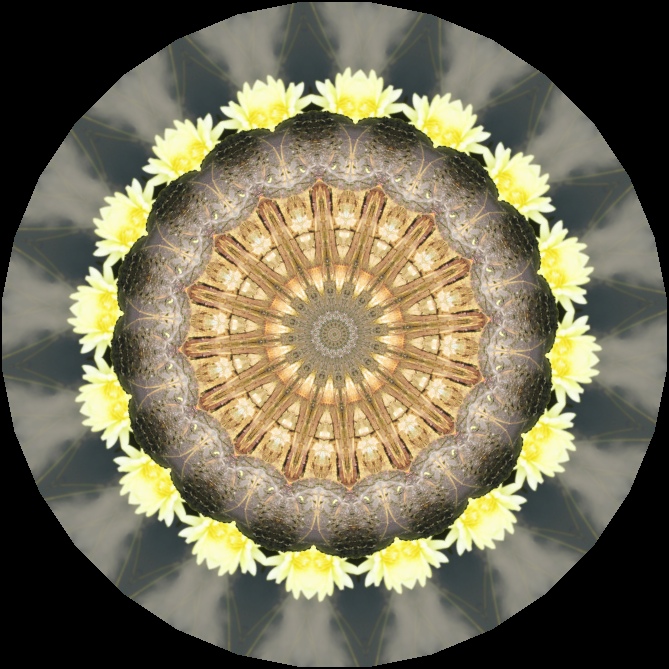 IMG_1480-1k Kaleidoscope