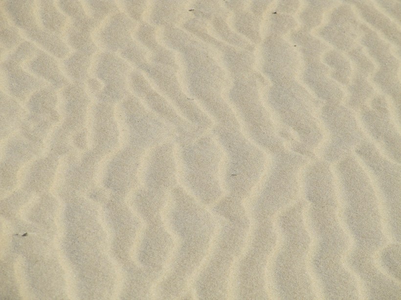 Sand Pattern_Rony