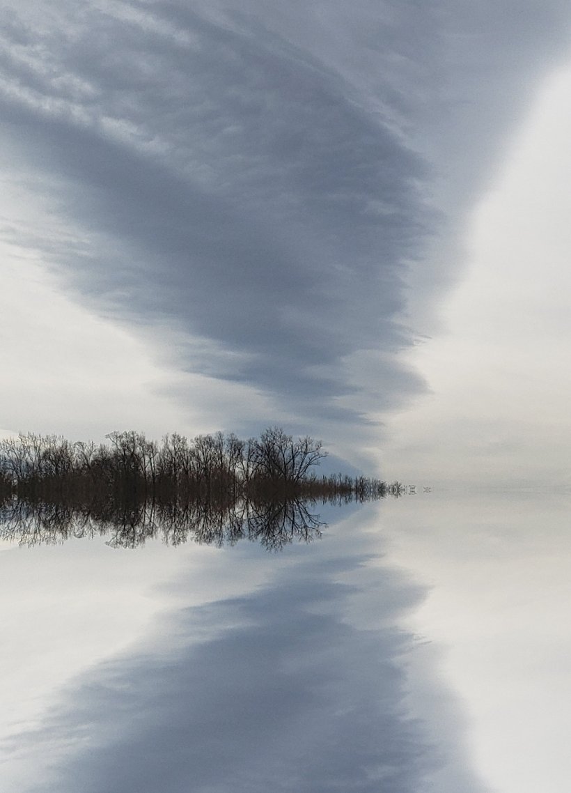 20190311_125115_1553743754477122680999551083928.jpg